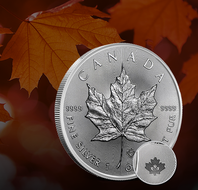 Learn About The Silver Maple History Investment Provident