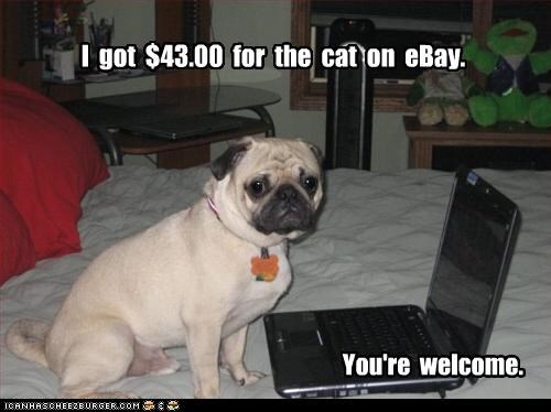 can u buy dogs on ebay