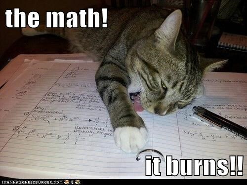 the math! - Lolcats - lol | cat memes | funny cats | funny cat pictures  with words on them | funny pictures | lol cat memes | lol cats