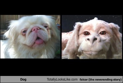 falcor dog