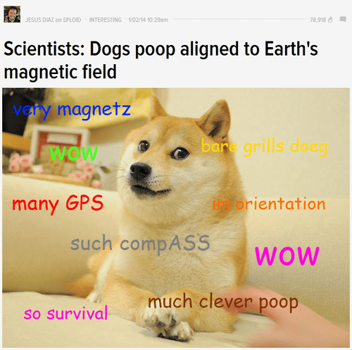 do dogs poop magnetic field