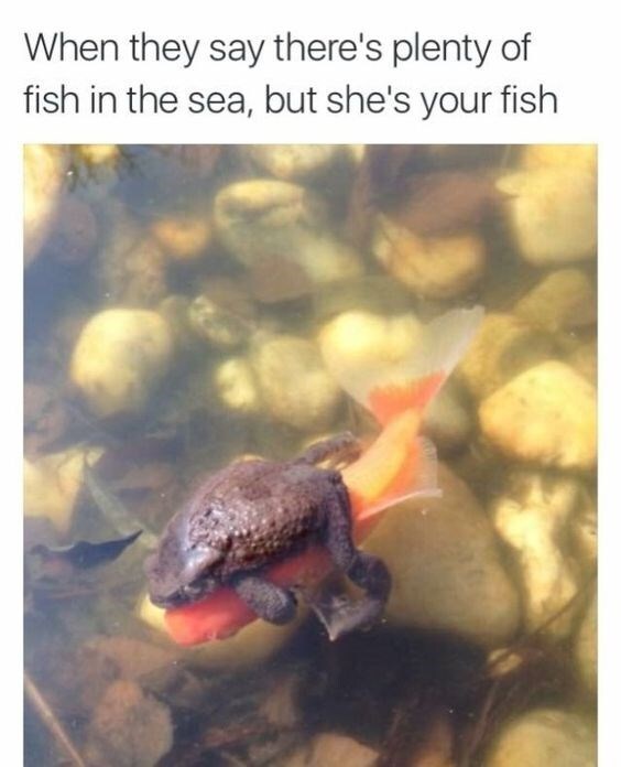 girls who fish are hottermemes