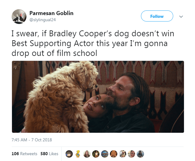 is the dog in a star is born bradley coopers