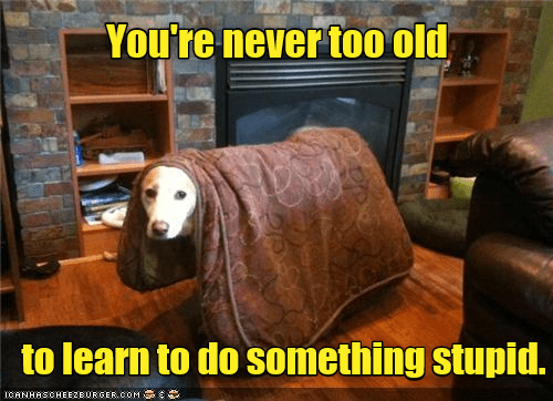 can an old dog be taught new tricks