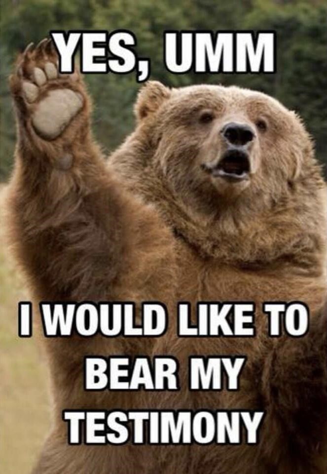 20+ Unbearably Dumb Bear Memes That Bare It All - Memebase - Funny Memes