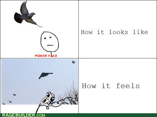 Purchase Sociology Recommended Pigeon Bombardeers - Rage Comics - rage comics