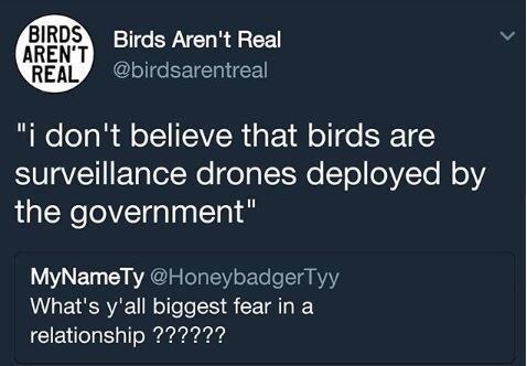 lustige Meme Überwachung Truther Bird CCTV Langarmshirt Bird Aren't Real